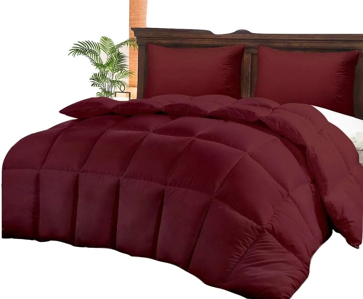 800 TC 100% Egyptian Cotton 300 GSM Goose Down Alternative Microfiber 5 PC Comforter Set (Comforter   Flat   Fitted 15''   2 Pillow Casess) Twin, Burgundy