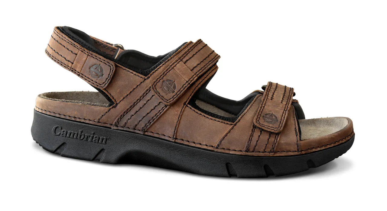 Cambrian Men’s Navigator Dark Brown