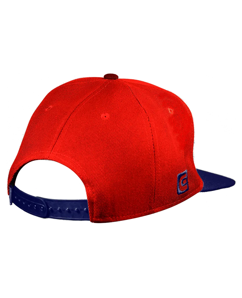 Watch Co Snapback Hat