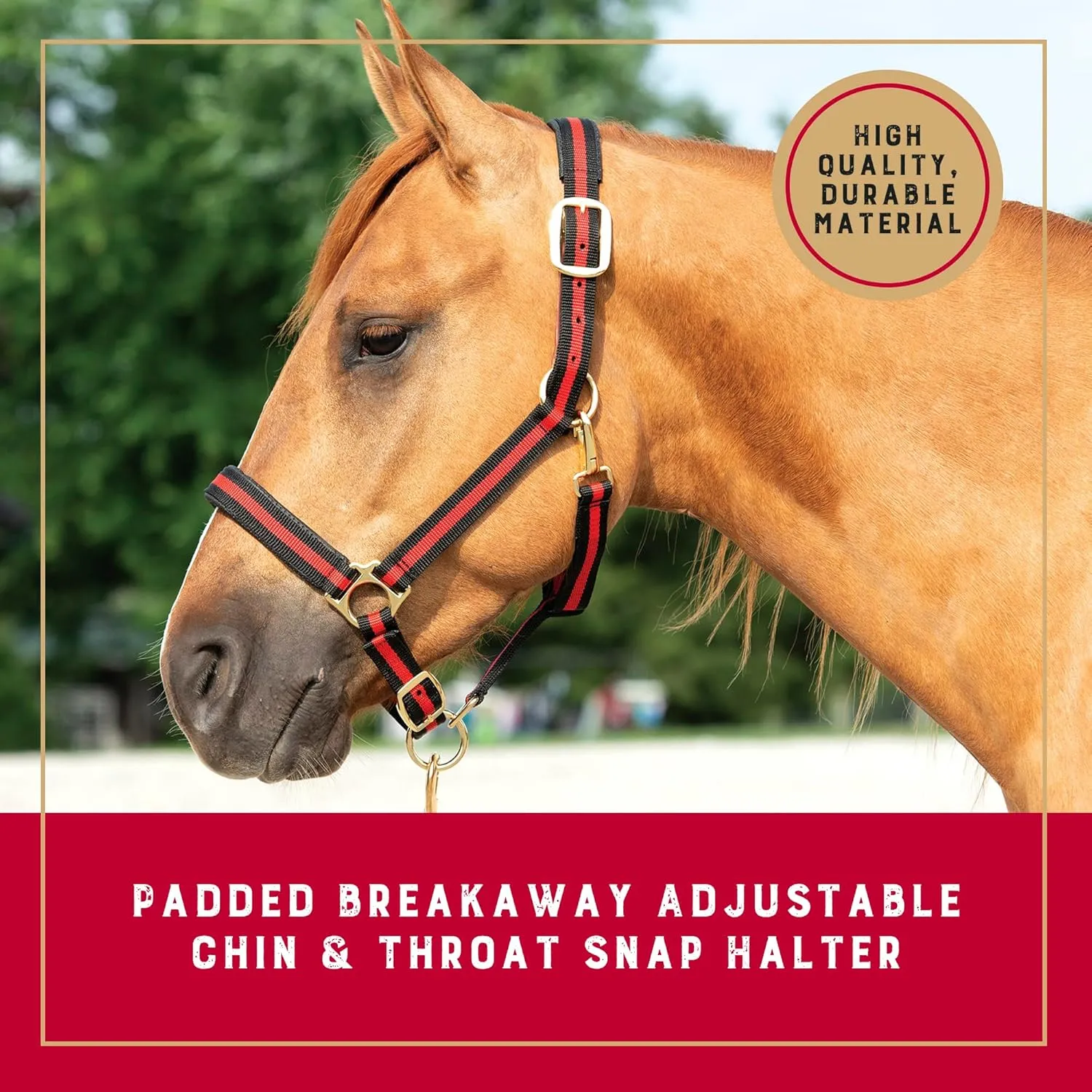 Weaver Equine Breakaway Horse Halter, Comfort Foam Padding, Adjustable Chin & Throat Snap Halters for Horses, Equine Tack,Average Size
