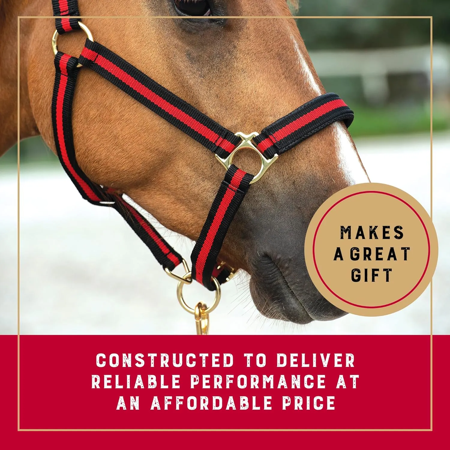 Weaver Equine Breakaway Horse Halter, Comfort Foam Padding, Adjustable Chin & Throat Snap Halters for Horses, Equine Tack,Average Size