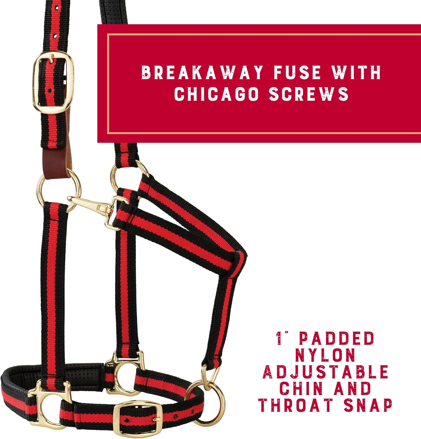 Weaver Equine Breakaway Horse Halter, Comfort Foam Padding, Adjustable Chin & Throat Snap Halters for Horses, Equine Tack,Average Size